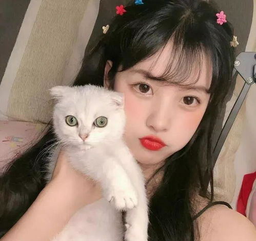  超甜的抱猫咪女生头像