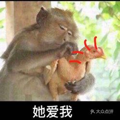  电话,地址,价格,营业时间郫都区美食
