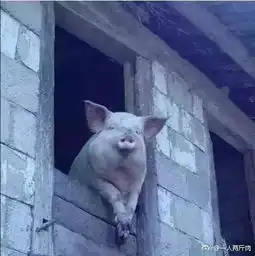  这些校草校花都是哪找的什么神仙颜值感觉想恋爱了