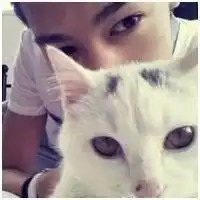  一个女人摸着一只猫,求情侣头像