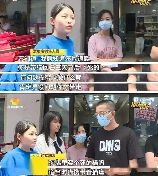  情侣店内连买两只猫都没活过三天,店家回复太气人
